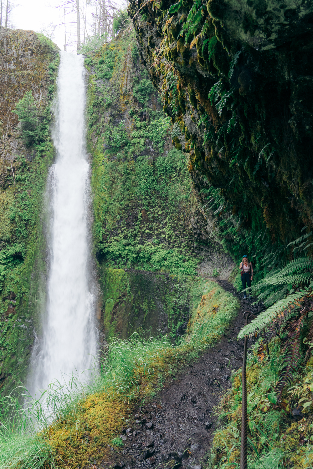 Hike Tunnel Falls In The Columbia River Gorge – It's Logan Marie