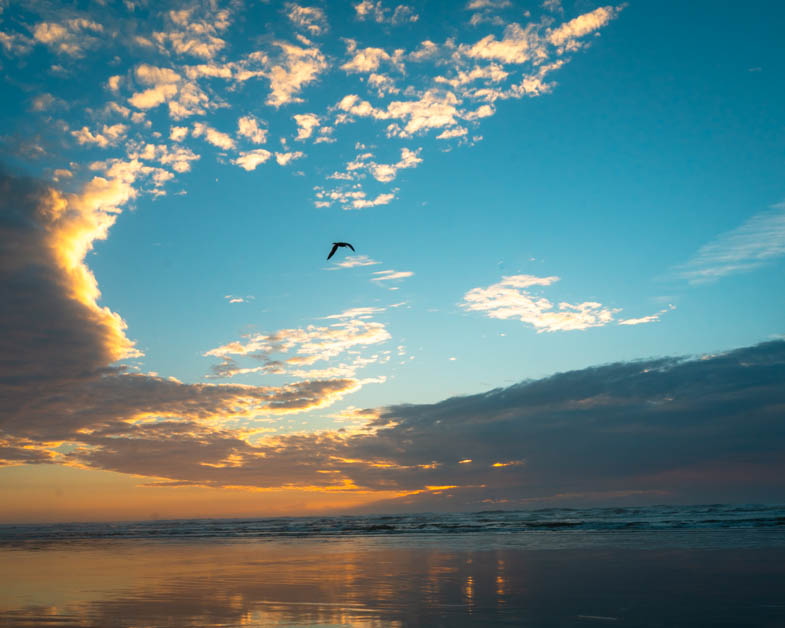 Unwind at the Coast of Long Beach Washington - Logan Marie